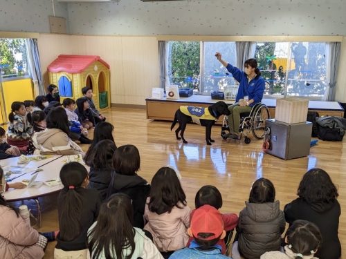 日本介助犬協会× 「チームわんわん」